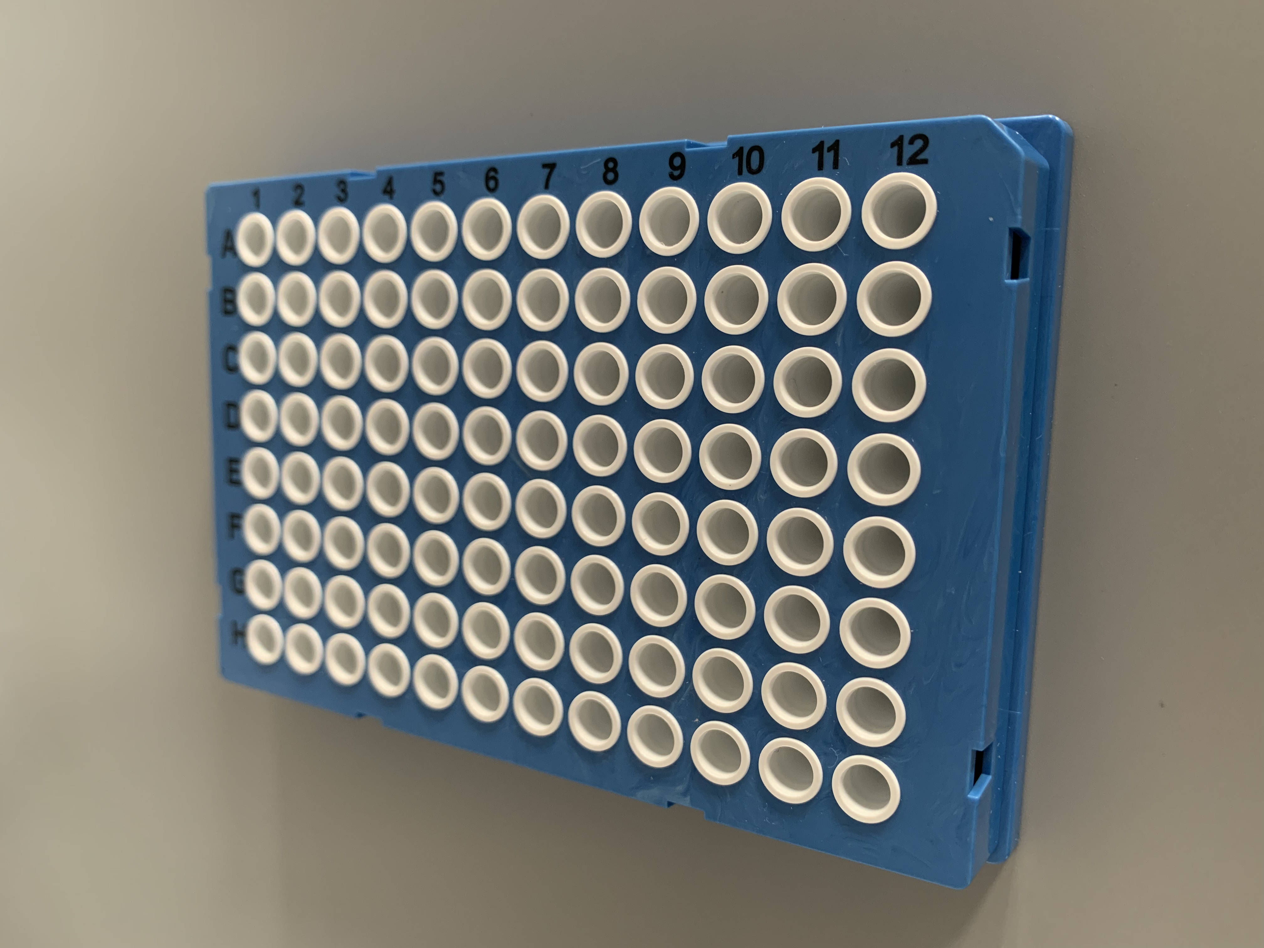 96孔PCR